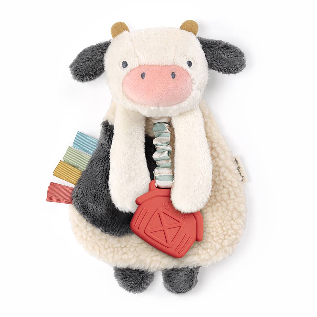 Itzy Ritzy Canada Itzy Friends Lovey Plush