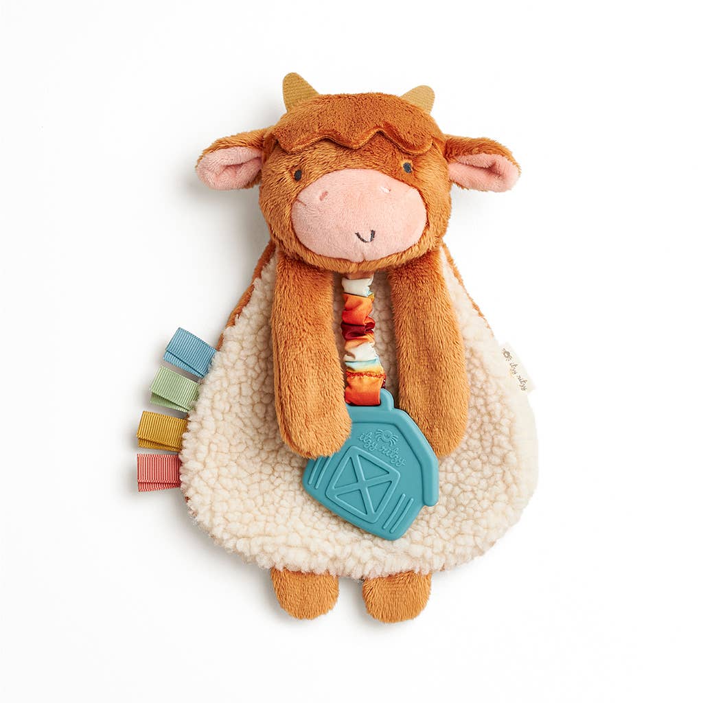 Itzy Ritzy Canada Itzy Friends Lovey Plush