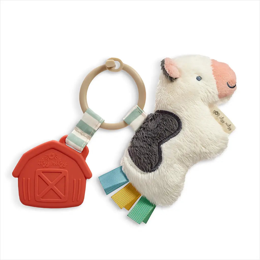 Itzy Ritzy Itzy Pal Plush + Teether